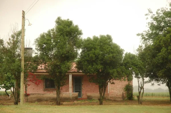 Campos Trigo Dourado Norte Argentina — Fotografia de Stock