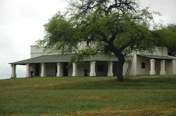 Kuzey Arjantin 'deki altın buğday tarlaları