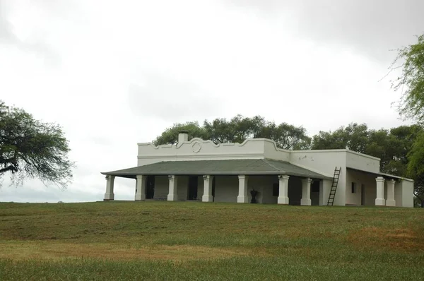 Kuzey Arjantin 'deki altın buğday tarlaları