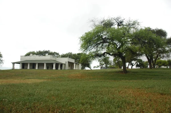 Kuzey Arjantin 'deki altın buğday tarlaları