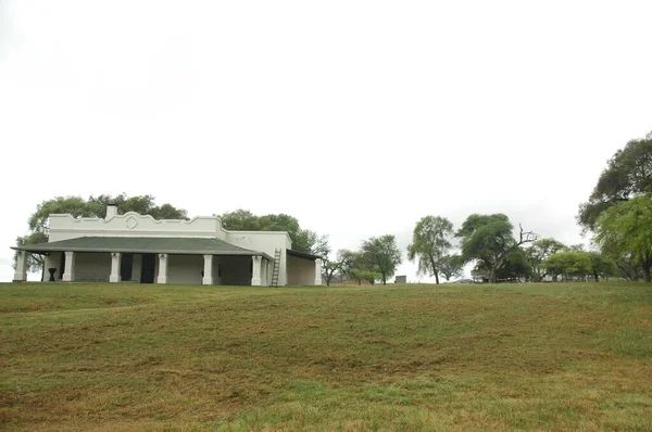 Kuzey Arjantin 'deki altın buğday tarlaları