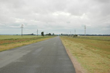 Kuzey Arjantin 'deki altın buğday tarlaları