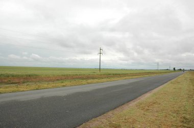 Kuzey Arjantin 'deki altın buğday tarlaları