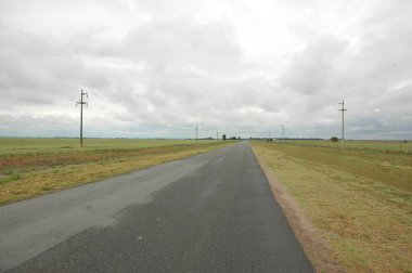 Kuzey Arjantin 'deki altın buğday tarlaları