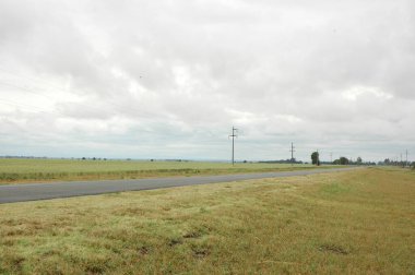 Kuzey Arjantin 'deki altın buğday tarlaları