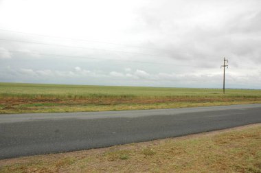Kuzey Arjantin 'deki altın buğday tarlaları