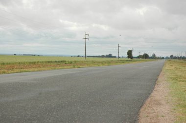 Kuzey Arjantin 'deki altın buğday tarlaları
