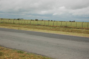 Kuzey Arjantin 'deki altın buğday tarlaları
