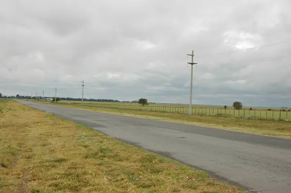 Kuzey Arjantin 'deki altın buğday tarlaları