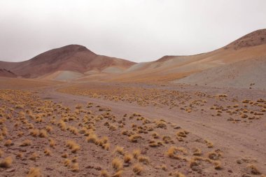 Arjantin Puna 'nın inanılmaz volkanik ve çöl manzarası