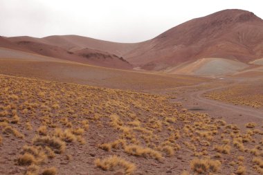 Arjantin Puna 'nın inanılmaz volkanik ve çöl manzarası