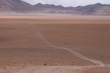 Arjantin Puna 'nın inanılmaz volkanik ve çöl manzarası