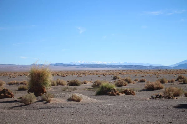 Arjantin Puna 'nın inanılmaz volkanik ve çöl manzarası