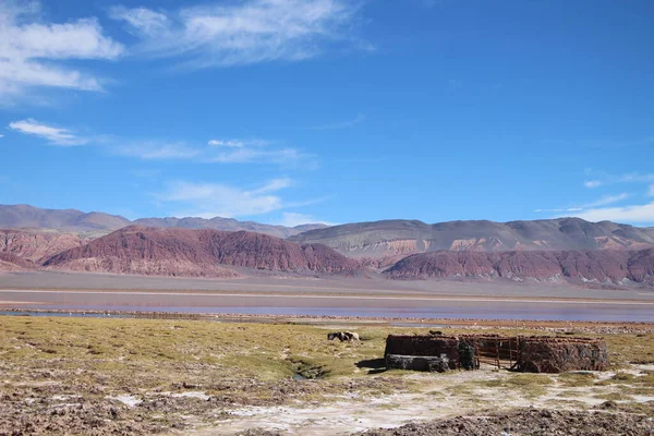 Neuvěřitelná Sopečná Pouštní Krajina Argentinské Puna — Stock fotografie