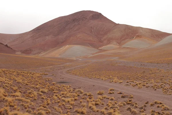 Arjantin Puna 'nın inanılmaz volkanik ve çöl manzarası