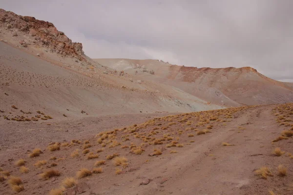 Arjantin Puna 'nın inanılmaz volkanik ve çöl manzarası