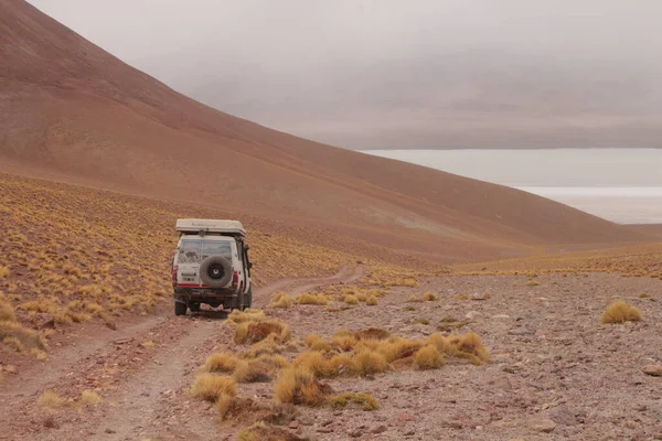 Невероятный Вулканический Пустынный Ландшафт Аргентинской Пуны — стоковое фото