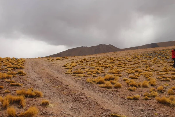 Arjantin Puna 'nın inanılmaz volkanik ve çöl manzarası