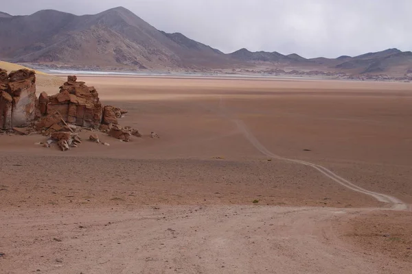 Arjantin Puna 'nın inanılmaz volkanik ve çöl manzarası