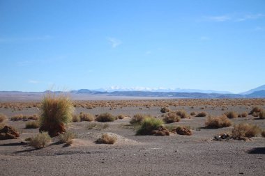 Arjantin Puna 'nın inanılmaz volkanik ve çöl manzarası