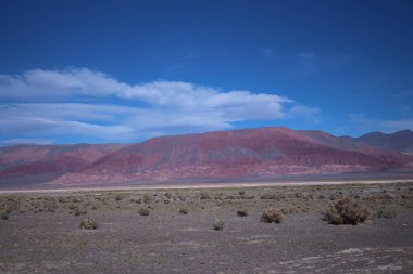 Arjantin Puna 'nın inanılmaz volkanik ve çöl manzarası