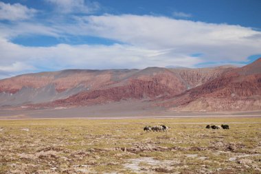 Arjantin Puna 'nın inanılmaz volkanik ve çöl manzarası