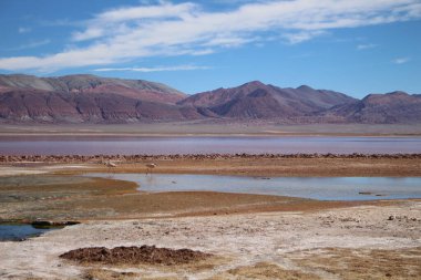 Arjantin Puna 'nın inanılmaz volkanik ve çöl manzarası