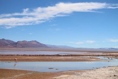 Arjantin Puna 'nın inanılmaz volkanik ve çöl manzarası