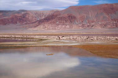 Arjantin Puna 'nın inanılmaz volkanik ve çöl manzarası