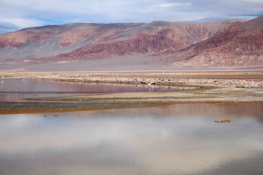 Arjantin Puna 'nın inanılmaz volkanik ve çöl manzarası