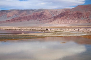 Arjantin Puna 'nın inanılmaz volkanik ve çöl manzarası