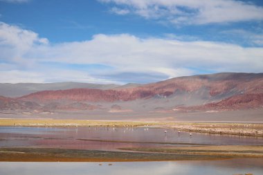 Arjantin Puna 'nın inanılmaz volkanik ve çöl manzarası