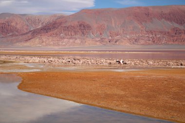 Arjantin Puna 'nın inanılmaz volkanik ve çöl manzarası