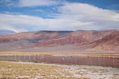 Arjantin Puna 'nın inanılmaz volkanik ve çöl manzarası