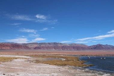 Arjantin Puna 'nın inanılmaz volkanik ve çöl manzarası