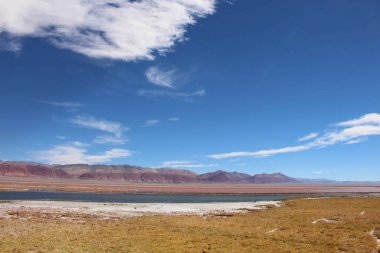 Arjantin Puna 'nın inanılmaz volkanik ve çöl manzarası