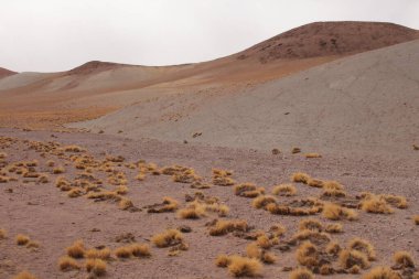 Arjantin Puna 'nın inanılmaz volkanik ve çöl manzarası