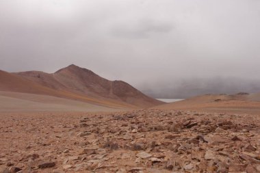 Arjantin Puna 'nın inanılmaz volkanik ve çöl manzarası
