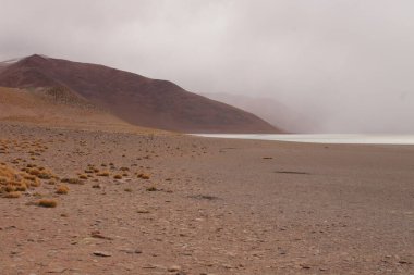 Arjantin Puna 'nın inanılmaz volkanik ve çöl manzarası
