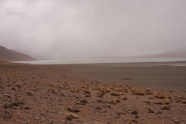 Arjantin Puna 'nın inanılmaz volkanik ve çöl manzarası