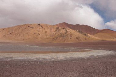 Arjantin Puna 'nın inanılmaz volkanik ve çöl manzarası
