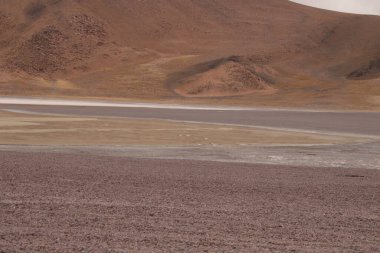 Arjantin Puna 'nın inanılmaz volkanik ve çöl manzarası