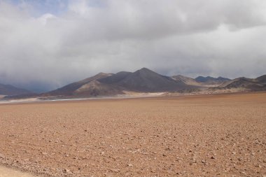 Arjantin 'in kuzeybatısındaki çöl manzarası