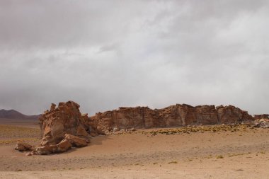 Arjantin 'in kuzeybatısındaki çöl manzarası