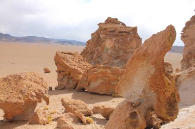 Arjantin 'in kuzeybatısındaki çöl manzarası