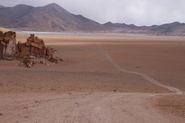 Arjantin 'in kuzeybatısındaki çöl manzarası