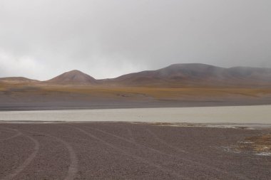 Arjantin 'in kuzeybatısındaki çöl manzarası