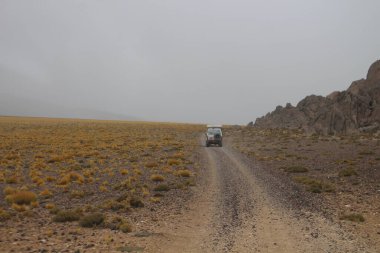 Arjantin 'in kuzeybatısındaki çöl manzarası