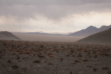 Arjantin 'in kuzeybatısındaki çöl manzarası