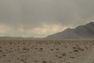 Arjantin 'in kuzeybatısındaki çöl manzarası